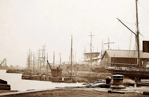 Hull docks, Victorian period