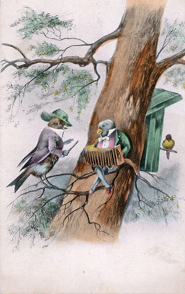 Humanised birds on a tree on a greetings postcard