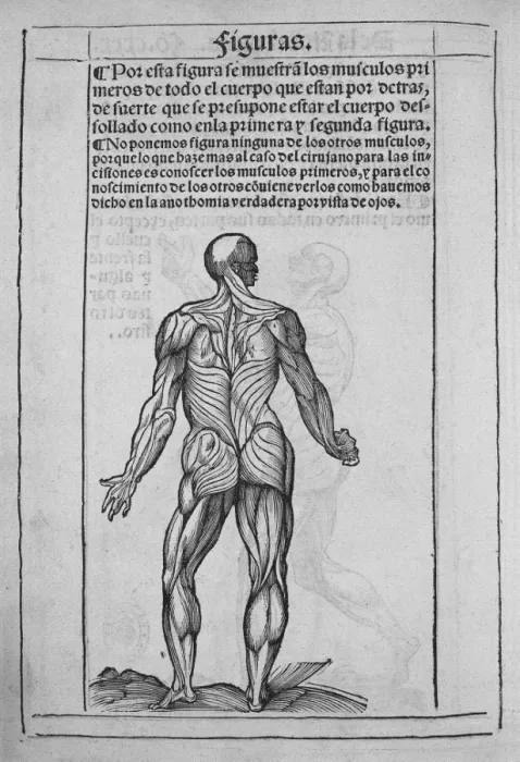 Framed Print : Humans anatomy book. Printed in 1551 in Valladolid Framed Print : Humans anatomy book. Printed in 1551 in Valladolid