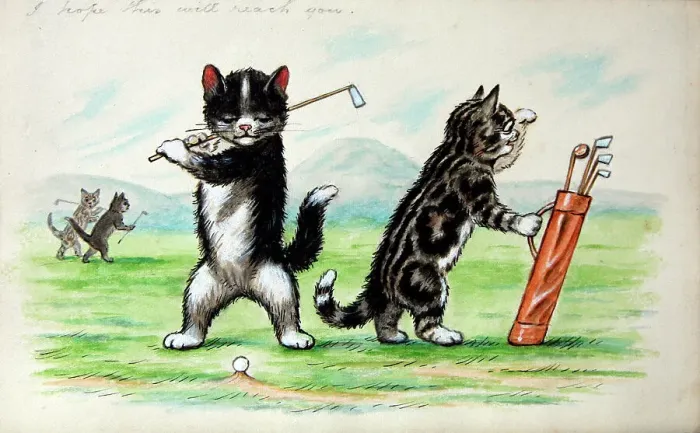 Framed Print : Humorous cats Framed Print : Humorous cats