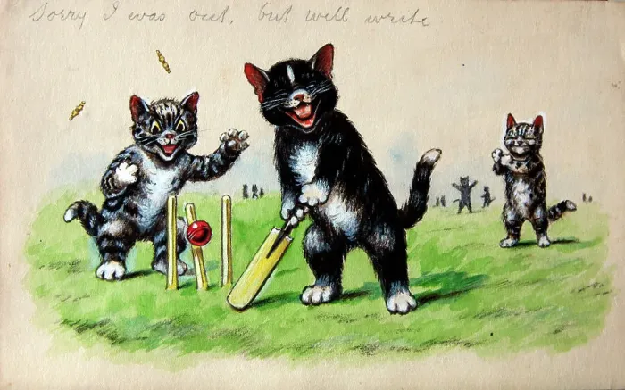 Framed Print : Humorous cats Framed Print : Humorous cats