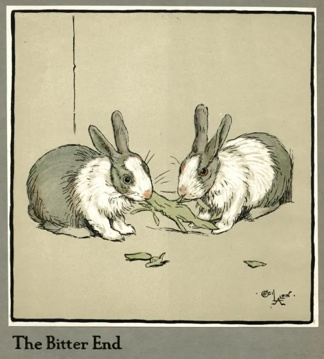 Framed Print : Humpty and Dumpty the rabbits eating a cabbage Framed Print : Humpty and Dumpty the rabbits eating a cabbage