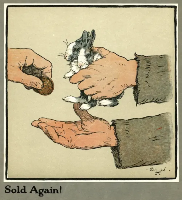 Framed Print : Humpty and Dumpty the rabbits are sold