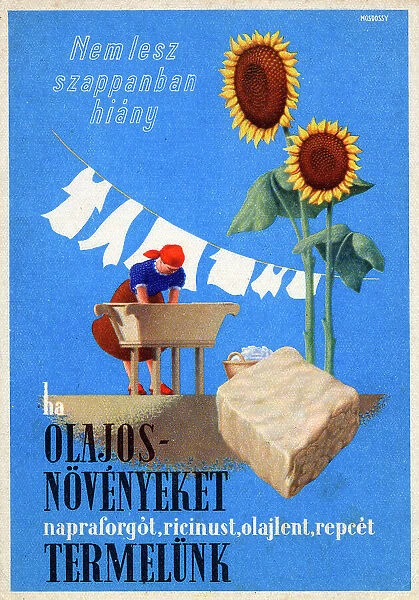 Hungarian public information card - grow oil seed for soap