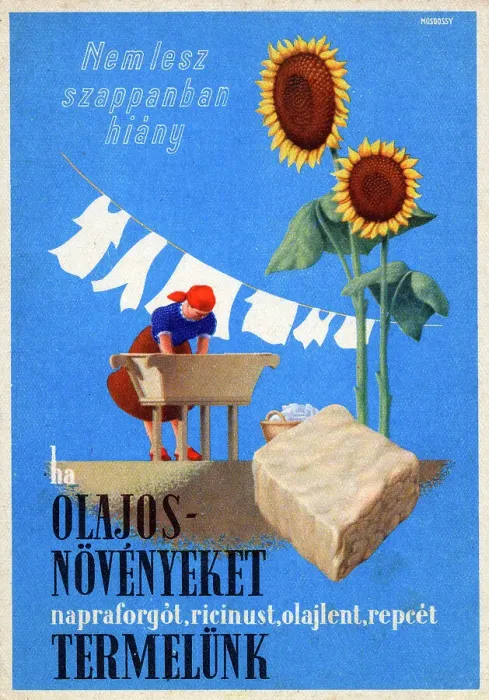 Framed Print : Hungarian public information card - grow oil seed for soap Framed Print : Hungarian public information card - grow oil seed for soap