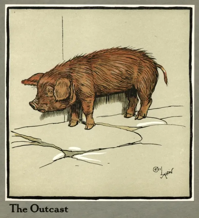 Framed Print : Hungry Peter as a piglet looking for food