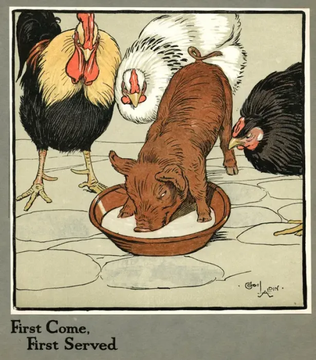 Framed Print : Hungry Peter as a piglet stealing poultry food Framed Print : Hungry Peter as a piglet stealing poultry food