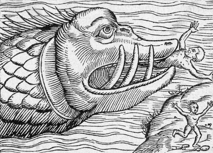 Framed Print : HUNGRY SEA MONSTER Framed Print : HUNGRY SEA MONSTER