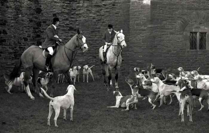 Framed Print : A hunt in Herefordshire Framed Print : A hunt in Herefordshire