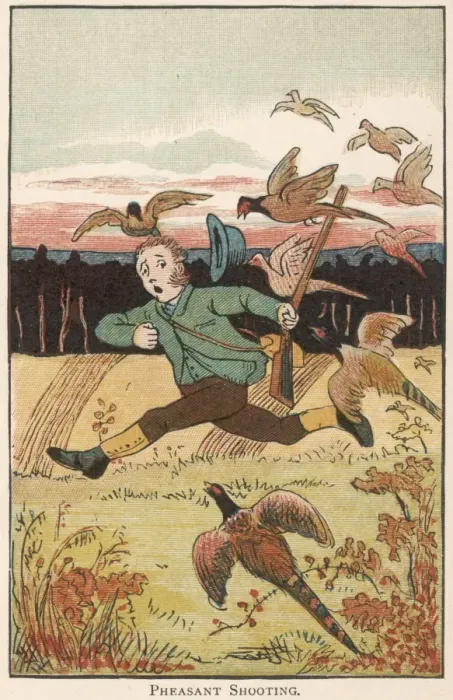 Framed Print : Hunter attacked by pheasants Framed Print : Hunter attacked by pheasants