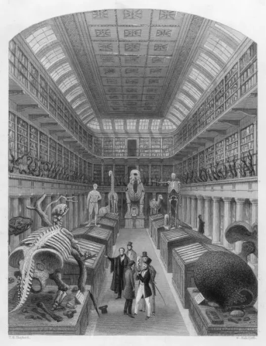 Framed Print : Hunterian Museum Framed Print : Hunterian Museum