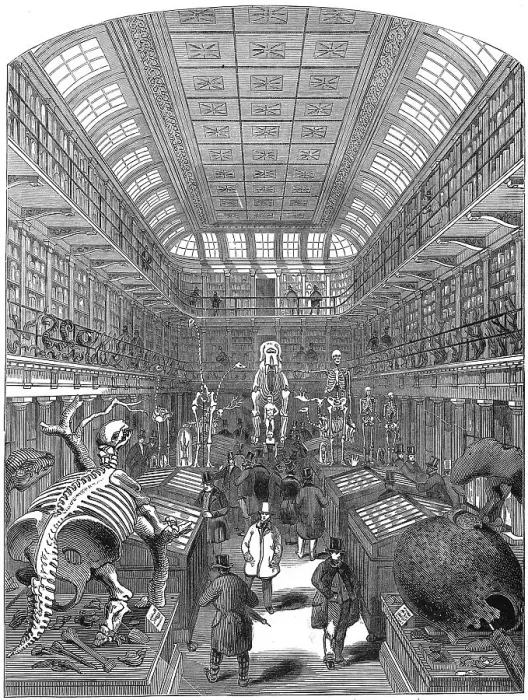 Framed Print : Hunterian Museum Royal College Surgeons Iln Import Framed Print : Hunterian Museum Royal College Surgeons Iln Import
