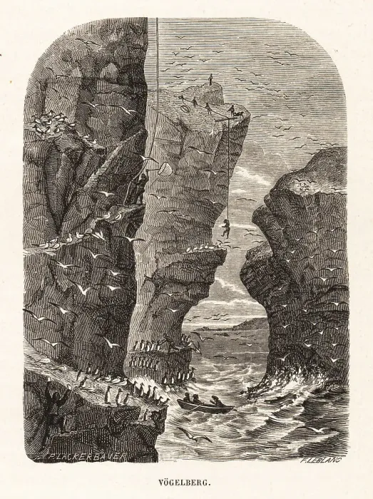 Framed Print : Hunters on St Kilda harvesting eggs of marine birds Framed Print : Hunters on St Kilda harvesting eggs of marine birds