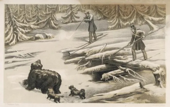Framed Print : Hunting / Bear, Sweden Framed Print : Hunting / Bear, Sweden