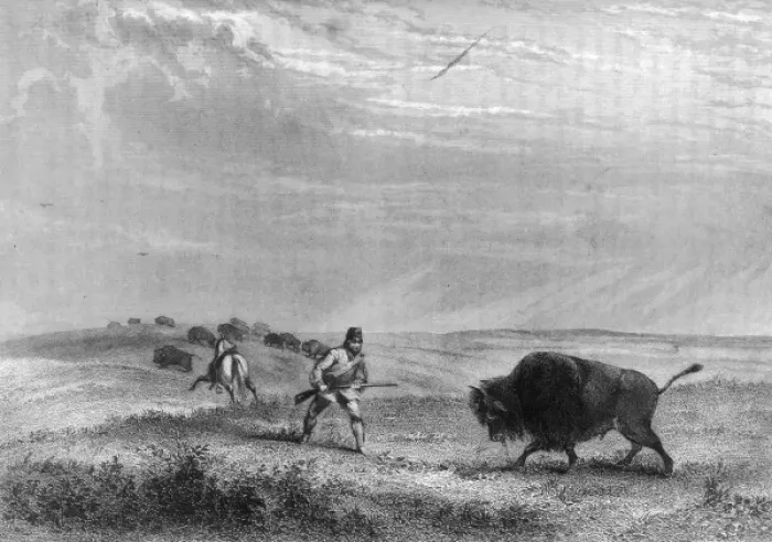 Framed Print : Hunting / Buffalo 1856 Framed Print : Hunting / Buffalo 1856