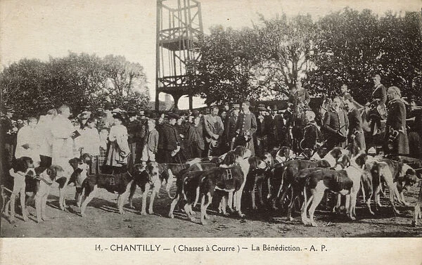 Hunting with dogs, La Benediction, Chantilly, France