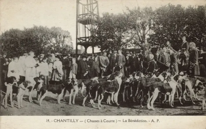 Framed Print : Hunting with dogs, La Benediction, Chantilly, France Framed Print : Hunting with dogs, La Benediction, Chantilly, France