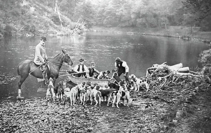 Framed Print : Hunting otters with hounds, Victorian period Framed Print : Hunting otters with hounds, Victorian period