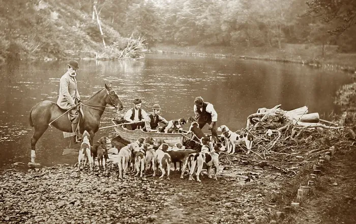 Framed Print : Hunting otters with hounds, Victorian period Framed Print : Hunting otters with hounds, Victorian period