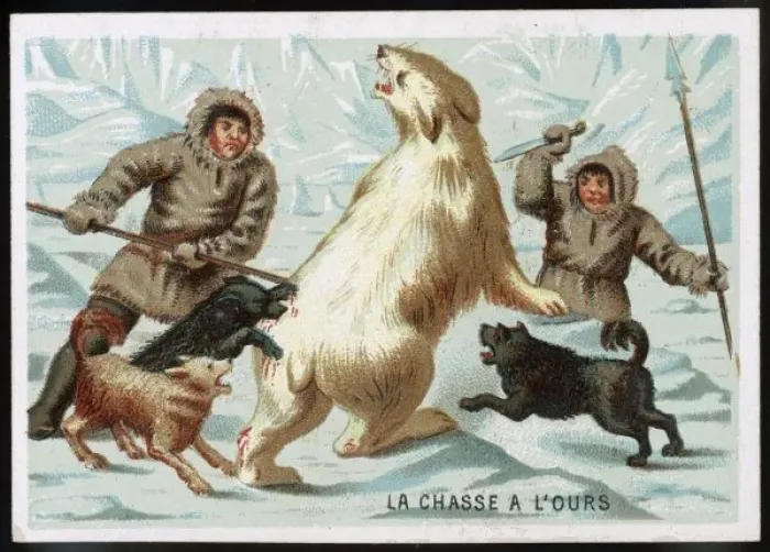 Framed Print : Hunting a Polar Bear