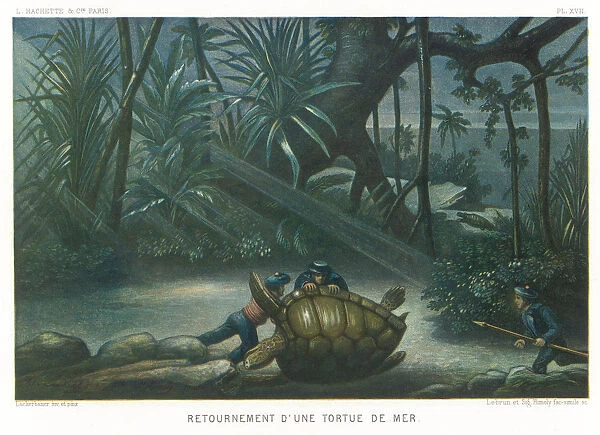 Hunting Turtles  /  1865