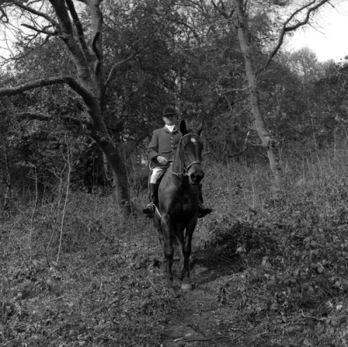 Framed Print : Huntsman on horseback in a wood, West Country Framed Print : Huntsman on horseback in a wood, West Country