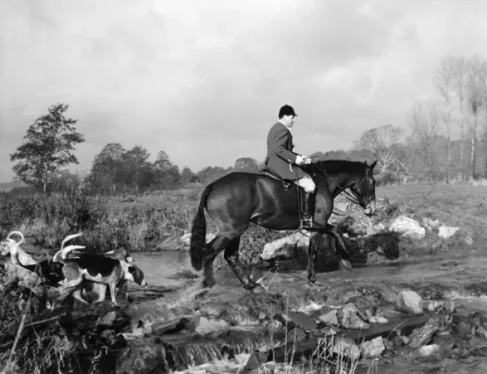 Framed Print : Huntsman and hounds cross a stream Framed Print : Huntsman and hounds cross a stream