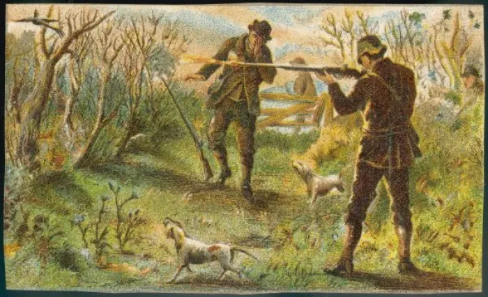 Framed Print : Huntsman Shot Not Bird Framed Print : Huntsman Shot Not Bird