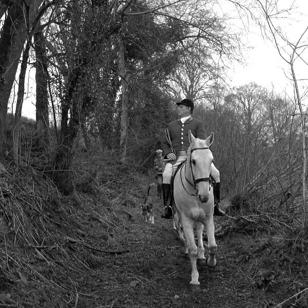 Huntsman on a white horse, West Country