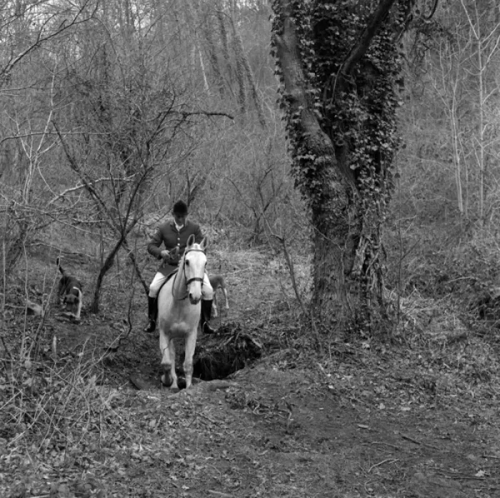 Framed Print : Huntsman on a white horse in a wood, West Country Framed Print : Huntsman on a white horse in a wood, West Country