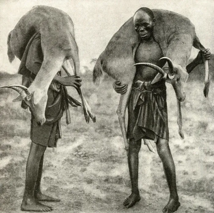 Framed Print : Huntsmen with game, Tanganyika, East Africa Framed Print : Huntsmen with game, Tanganyika, East Africa