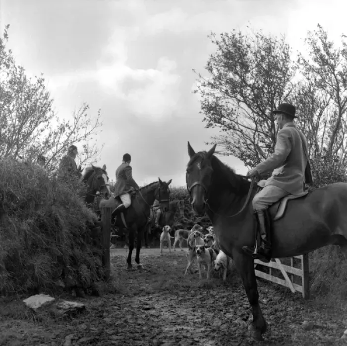 Framed Print : Huntsmen and hounds at an open gate, West Country Framed Print : Huntsmen and hounds at an open gate, West Country