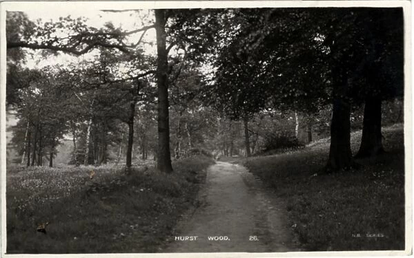 Hurst Wood, Whitefield, Lancashire