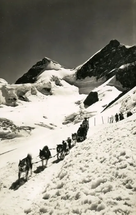 Framed Print : Husky sled dog team on the Jungfraujoch, Switzerland Framed Print : Husky sled dog team on the Jungfraujoch, Switzerland