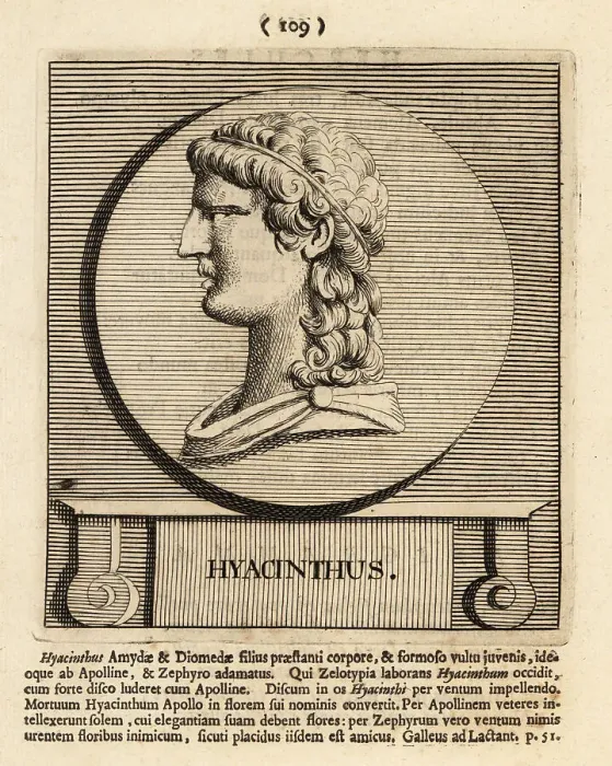Framed Print : Hyacinth, divine hero and lover of Apollo from Greek mythology Framed Print : Hyacinth, divine hero and lover of Apollo from Greek mythology