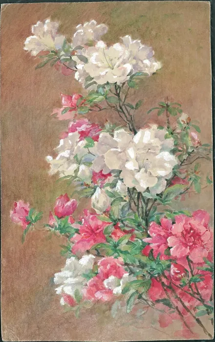 Framed Print : Hyateas'. Flowers Framed Print : Hyateas'. Flowers