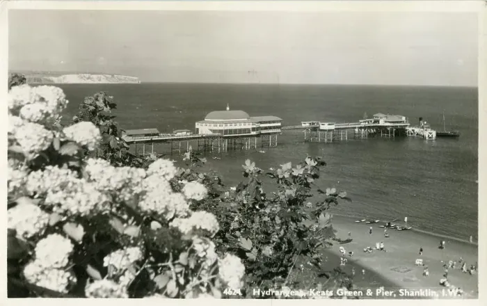 Framed Print : Hydrangeas Keats Garden And Pier Shanklin Isle Framed Print : Hydrangeas Keats Garden And Pier Shanklin Isle