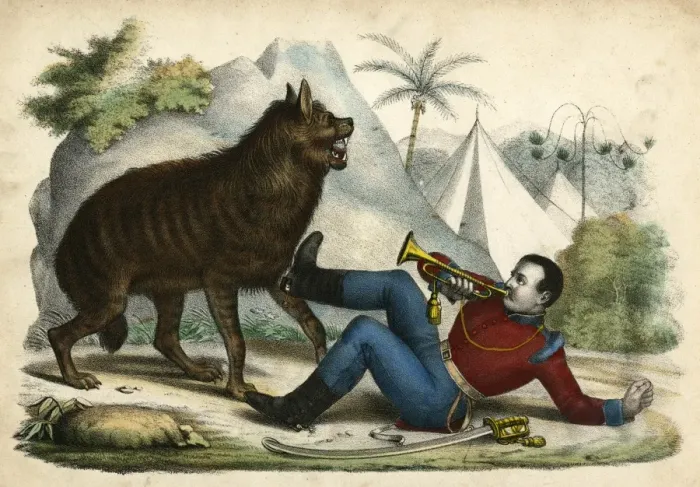 Framed Print : Hyena / Sentry Call 1845 Framed Print : Hyena / Sentry Call 1845