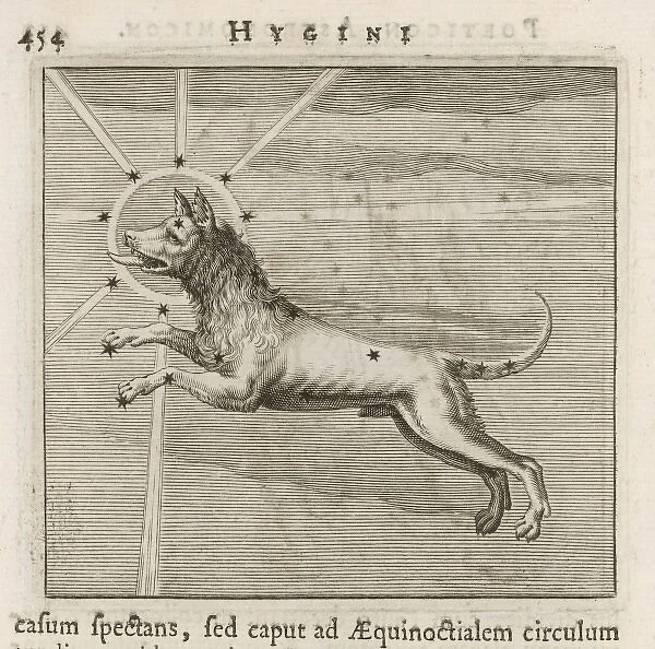 Hyginus  /  Canis Major