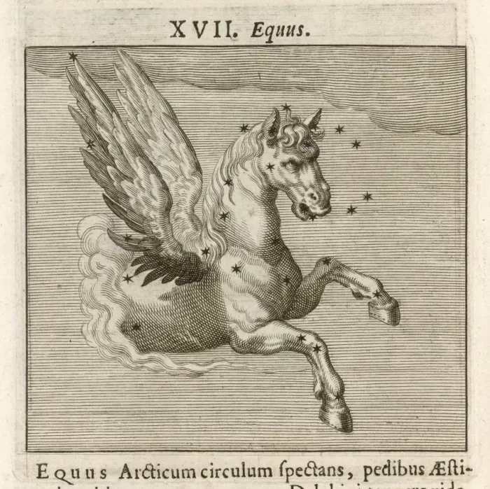 Framed Print : Hyginus / Equus Framed Print : Hyginus / Equus