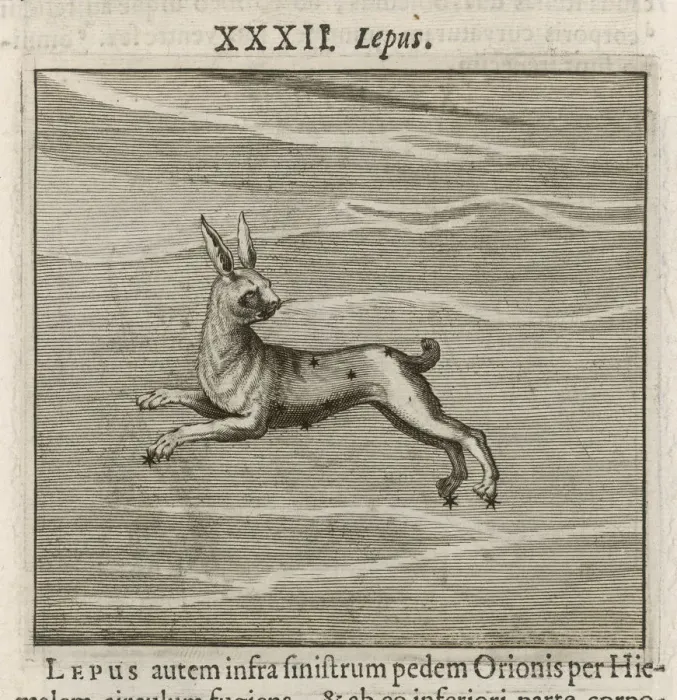 Framed Print : Hyginus / Lepus Framed Print : Hyginus / Lepus