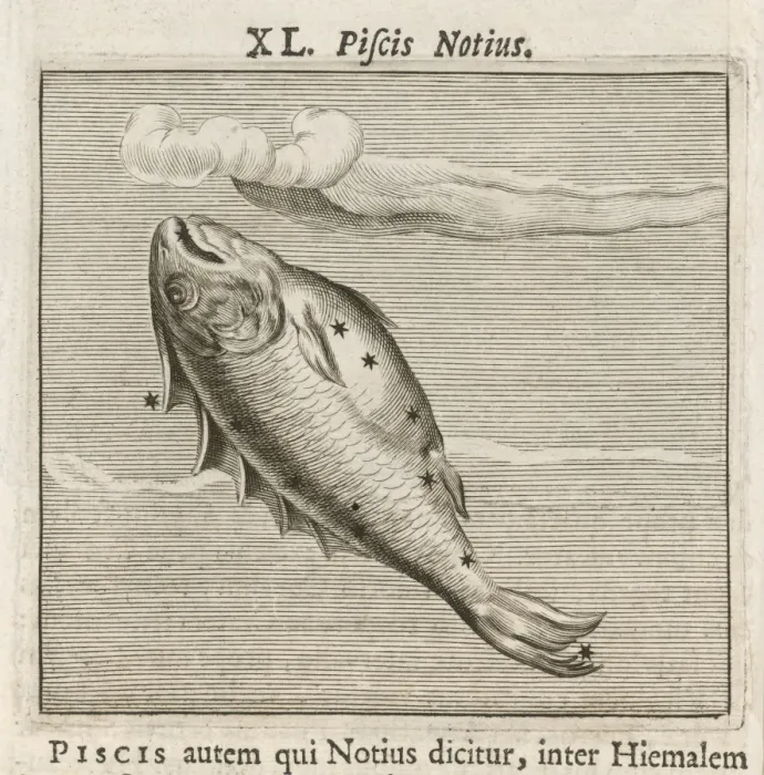 Framed Print : Hyginus / Piscis Notius Framed Print : Hyginus / Piscis Notius