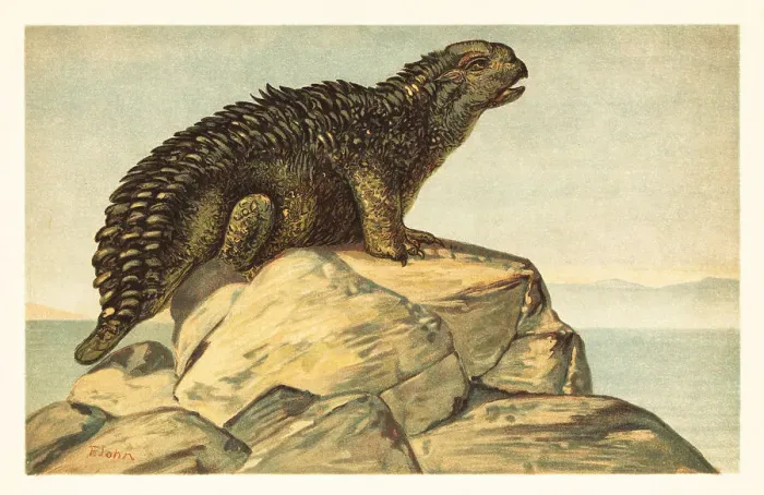 Framed Print : Hylaeosaurus armatus, extinct herbivorous ankylosaurian dinosaur Framed Print : Hylaeosaurus armatus, extinct herbivorous ankylosaurian dinosaur