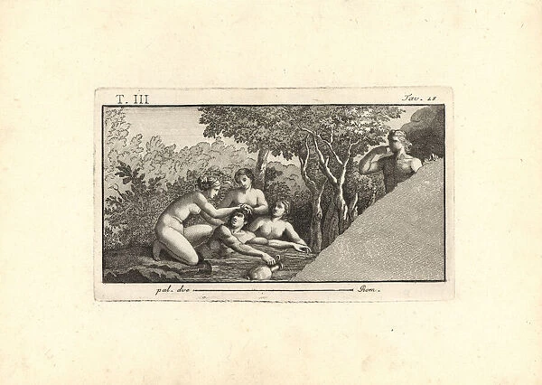 Hylas kidnapped by the Mysian Naiads