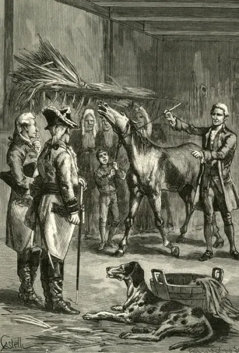 Framed Print : Hypnotising a Horse Framed Print : Hypnotising a Horse