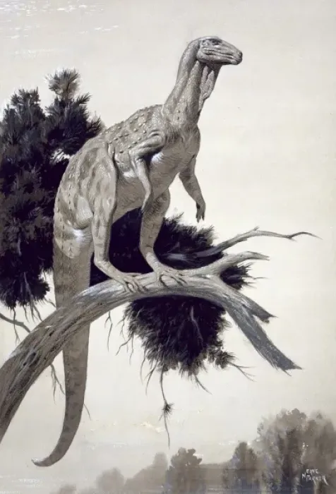 Framed Print : Hypsilophodon Framed Print : Hypsilophodon