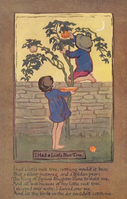 Framed Print : I had a little nut tree Framed Print : I had a little nut tree