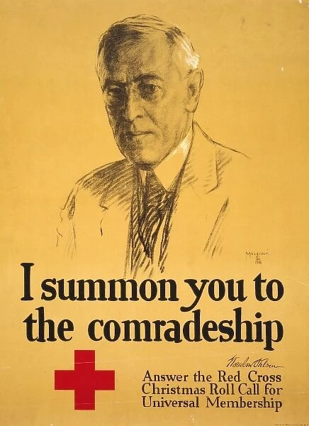 I summon you to the comradeship - Woodrow Wilson Answer the