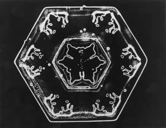 Framed Print : Ice Crystals Framed Print : Ice Crystals