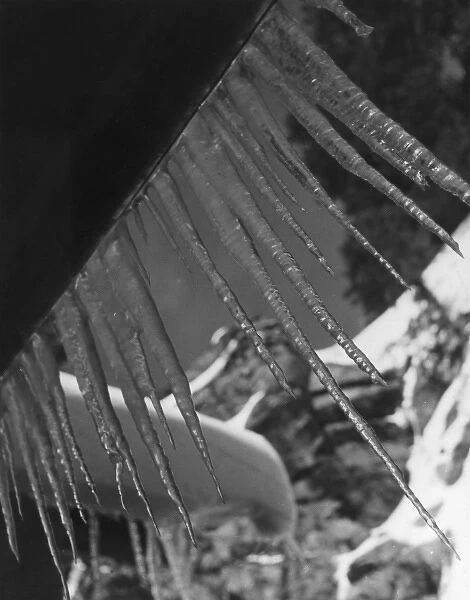 ICICLES. A study of icicles. Date: 1930s